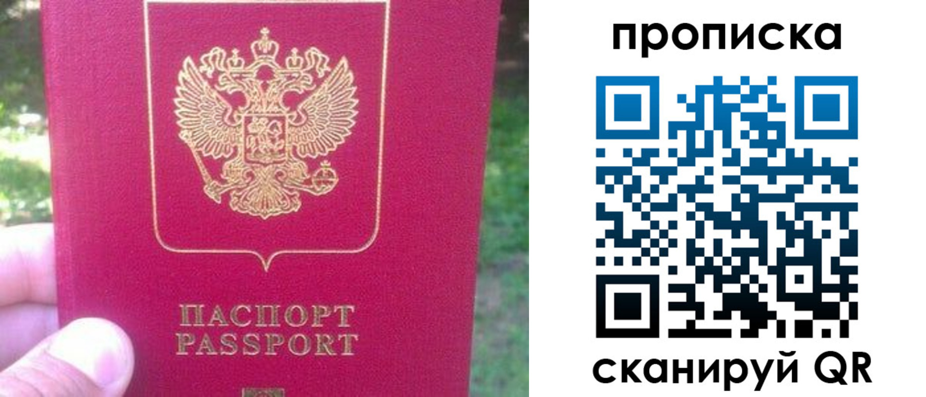 прописка законно в Ейске